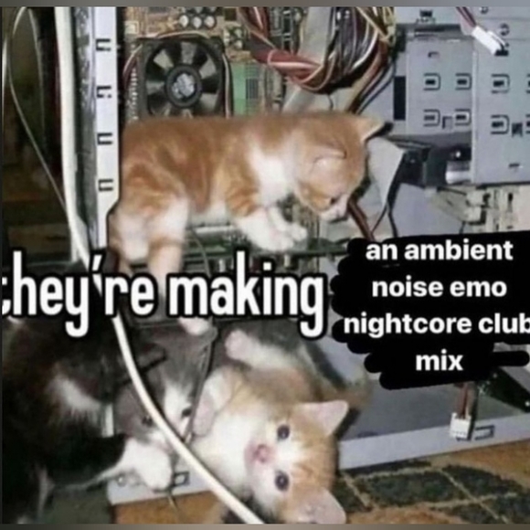 Meet your Posher, Peanut - Picture 1 of 1